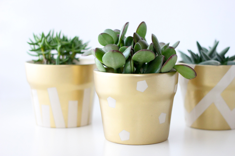 Gilded Succulent Pots