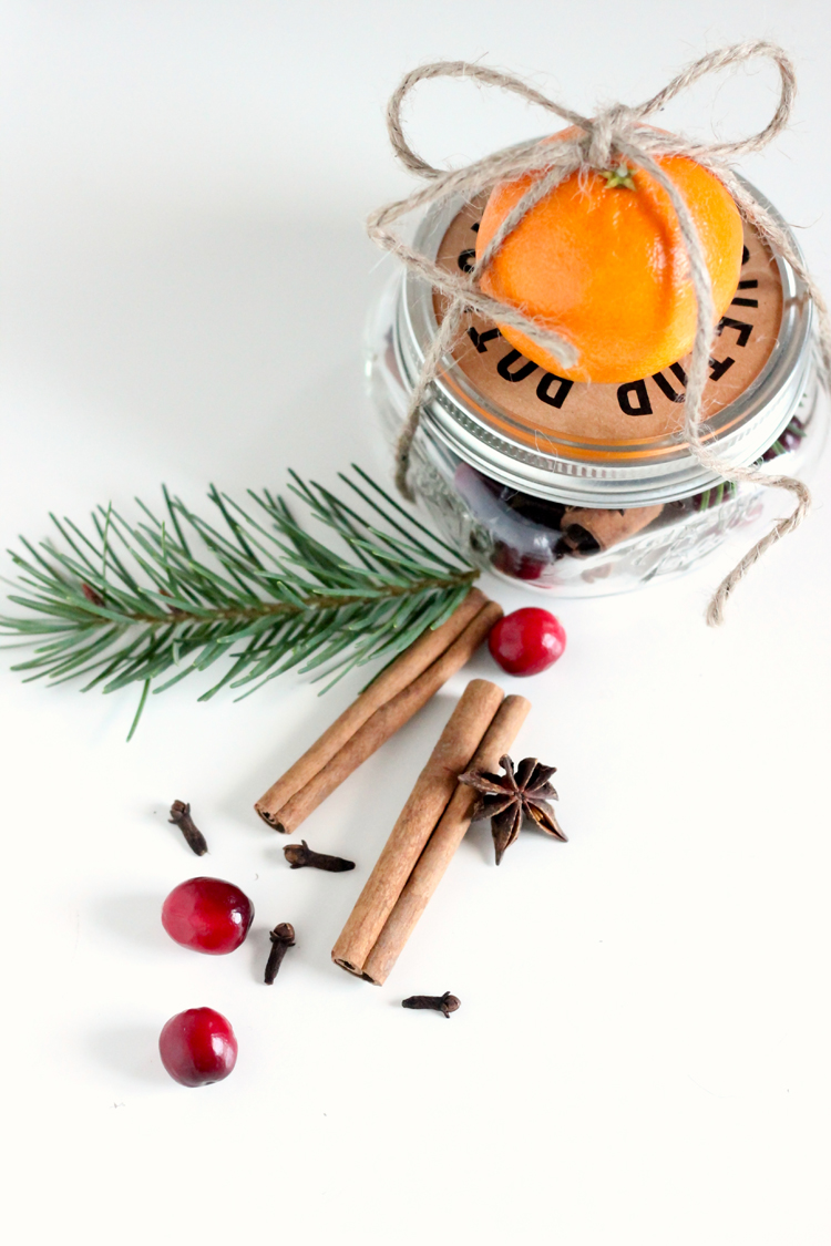 Christmas Stove Top Potpourri - Gift Package Idea and Free Printables - Big  Bear's Wife