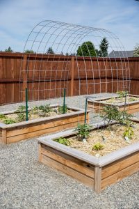 Raised Bed Garden Arch Trellis